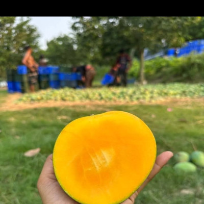 গোবিন্দভোগ - 10 kj