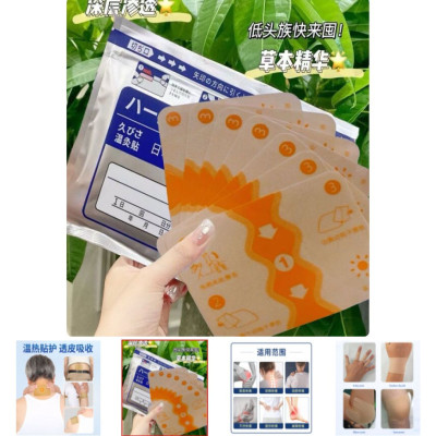 ( 2 packet 14 pcs) Japanese Back Pain Relief Patches